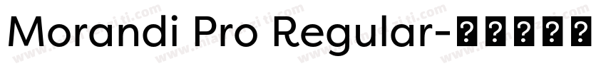 Morandi Pro Regular字体转换